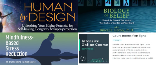 image des formations de Gregg Braden, Bruce Lipton, Joe Dispenza & MBSR, 